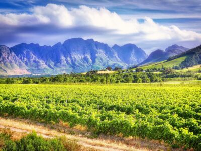 Cape Winelands mit Travel Lounge entdecken