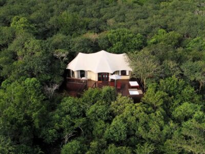 Thanda Private Game Reserve Südafrika