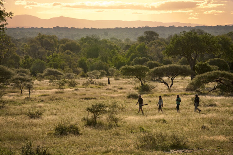 Lion Sands Tinga Lodge Bush Walk