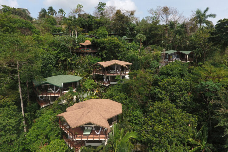 Tulemar Resort Manuel Antonio Costa Rica Area