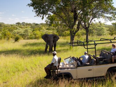 Ulusaba Safari Lodge Kruger Nationalpark