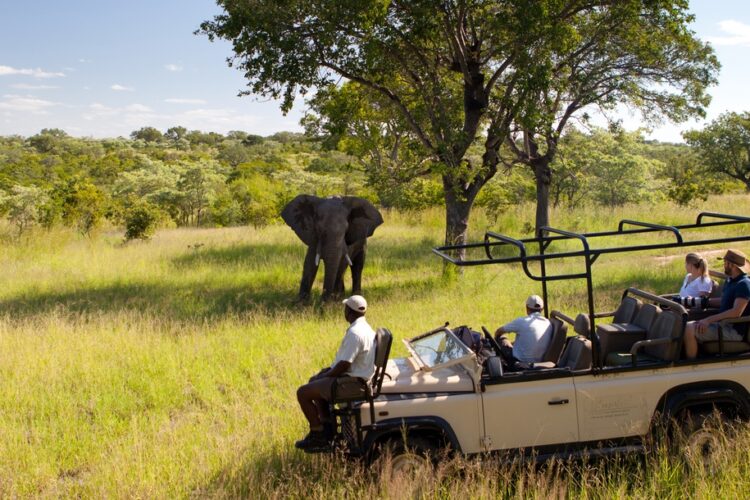 Ulusaba Safari Lodge Kruger Nationalpark