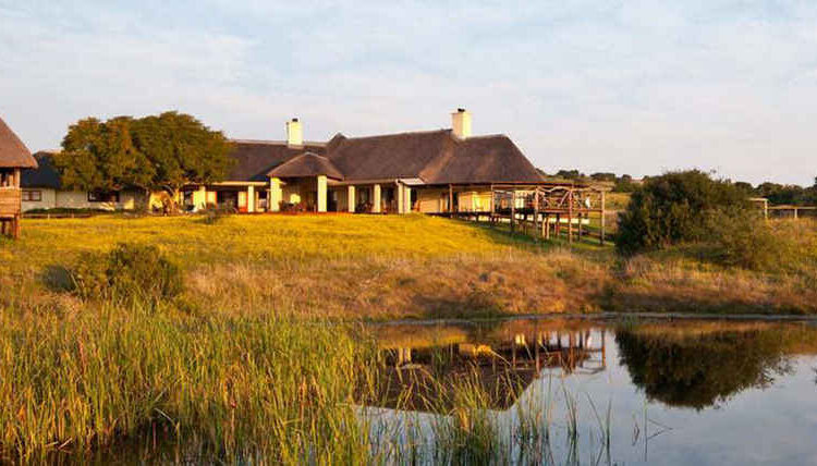 Hlosi Game Lodge Amakhala Game Reserve Südafrika