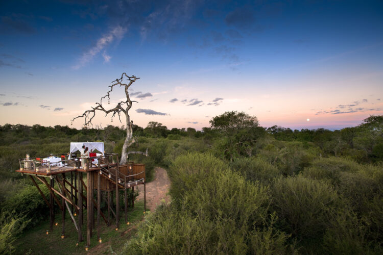 Lion Sands River Lodge Treehouse