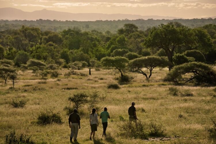 Lion Sands River Lodge Natur Walk