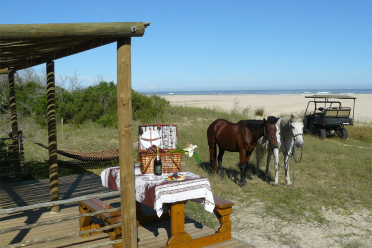 Oyster Bay Lodge Reiten