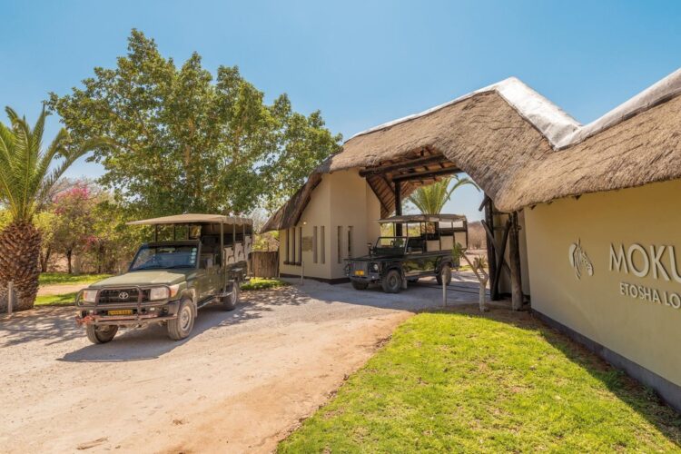 Mokuti Etosha Lodge 