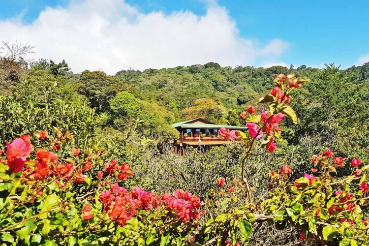 Monteverde Cloud Forest Lodge Costa Rica