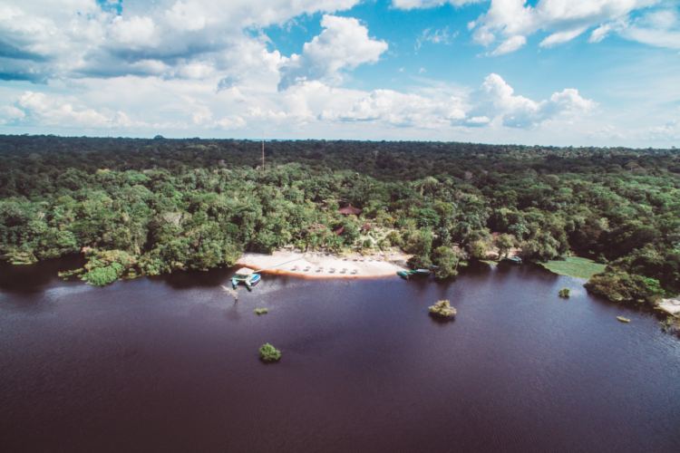 Amazon Eco Park Lodge