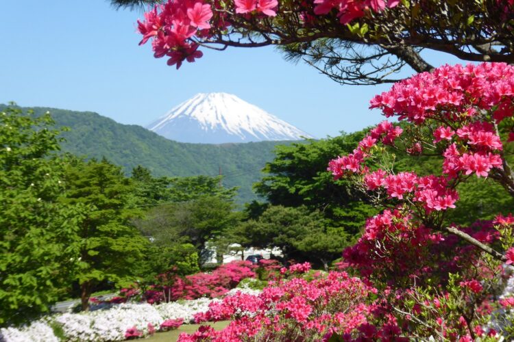 Mount Fuji (fakultativer Ausflug)