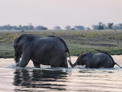 Caprivi-Streifen Namibia mit Travel Lounge entdecken