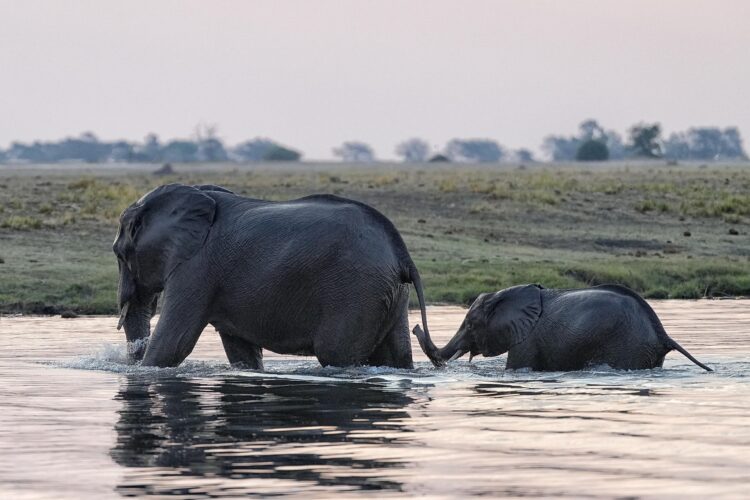 Caprivi-Streifen Namibia mit Travel Lounge entdecken