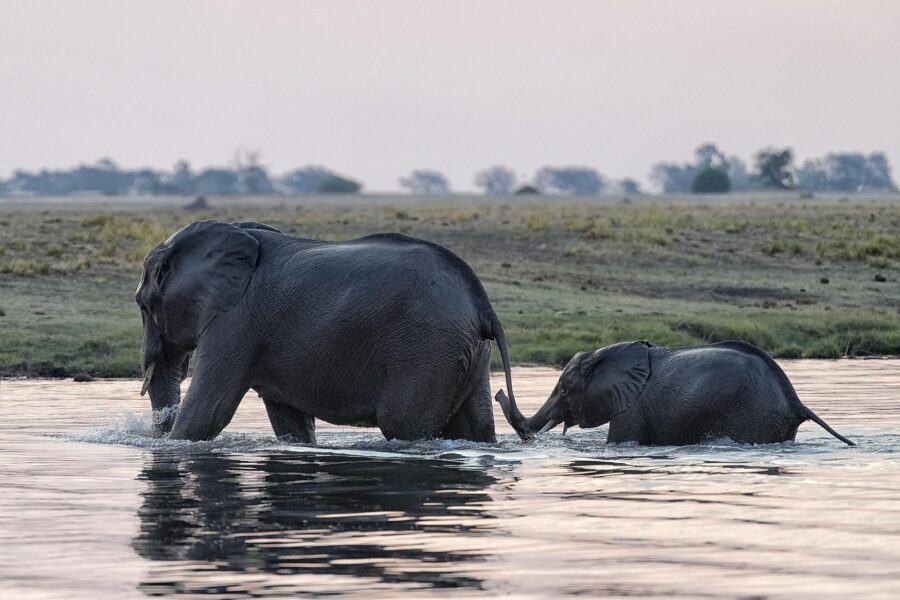 Caprivi-Streifen Namibia mit Travel Lounge entdecken