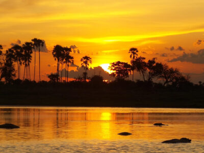 Botswana mit Travel Lounge entdecken