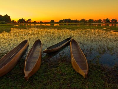 Botswana mit Travel Lounge entdecken