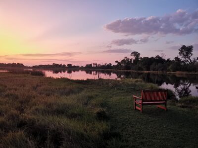 Das Okavango-Delta mit Travel Lounge entdecken