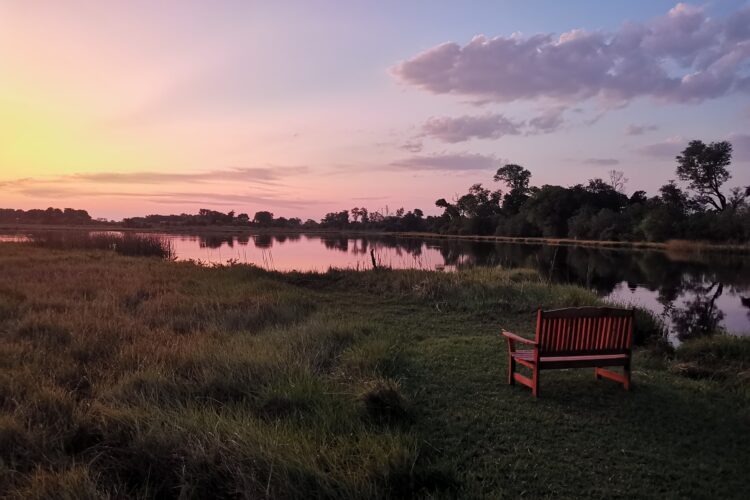 Das Okavango-Delta mit Travel Lounge entdecken